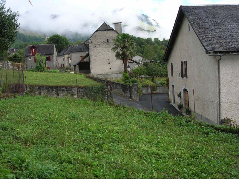 image1.jpg