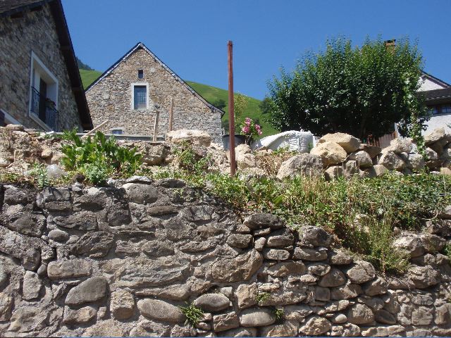 image1.jpg