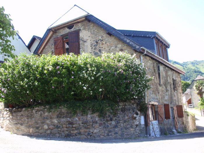 image6.jpg