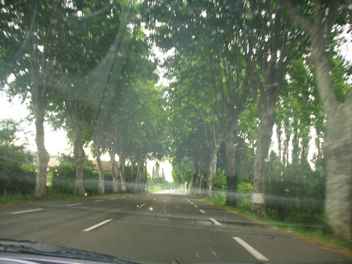image1.jpg