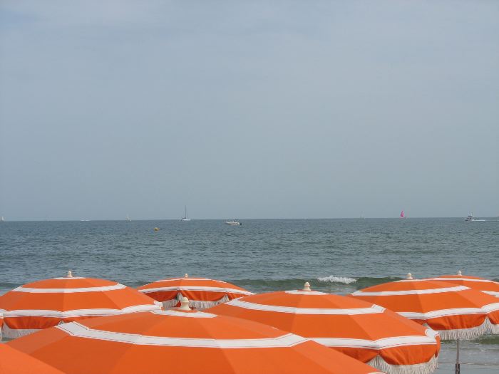 image19.jpg
