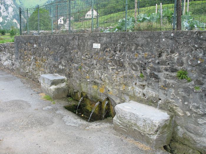 image6.jpg