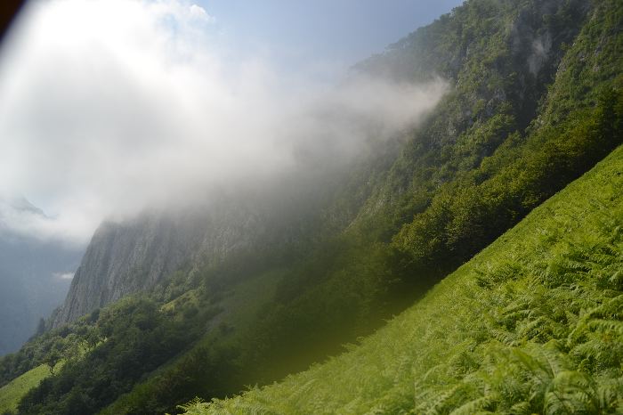 image22.jpg