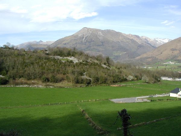image6.jpg