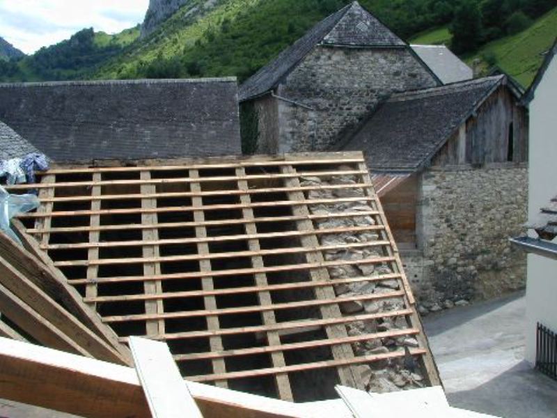 image5.jpg