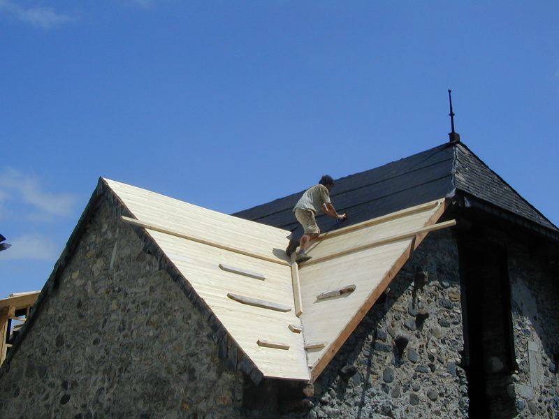 image5.jpg