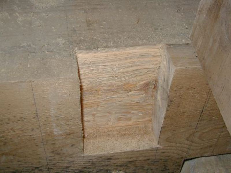 image7.jpg